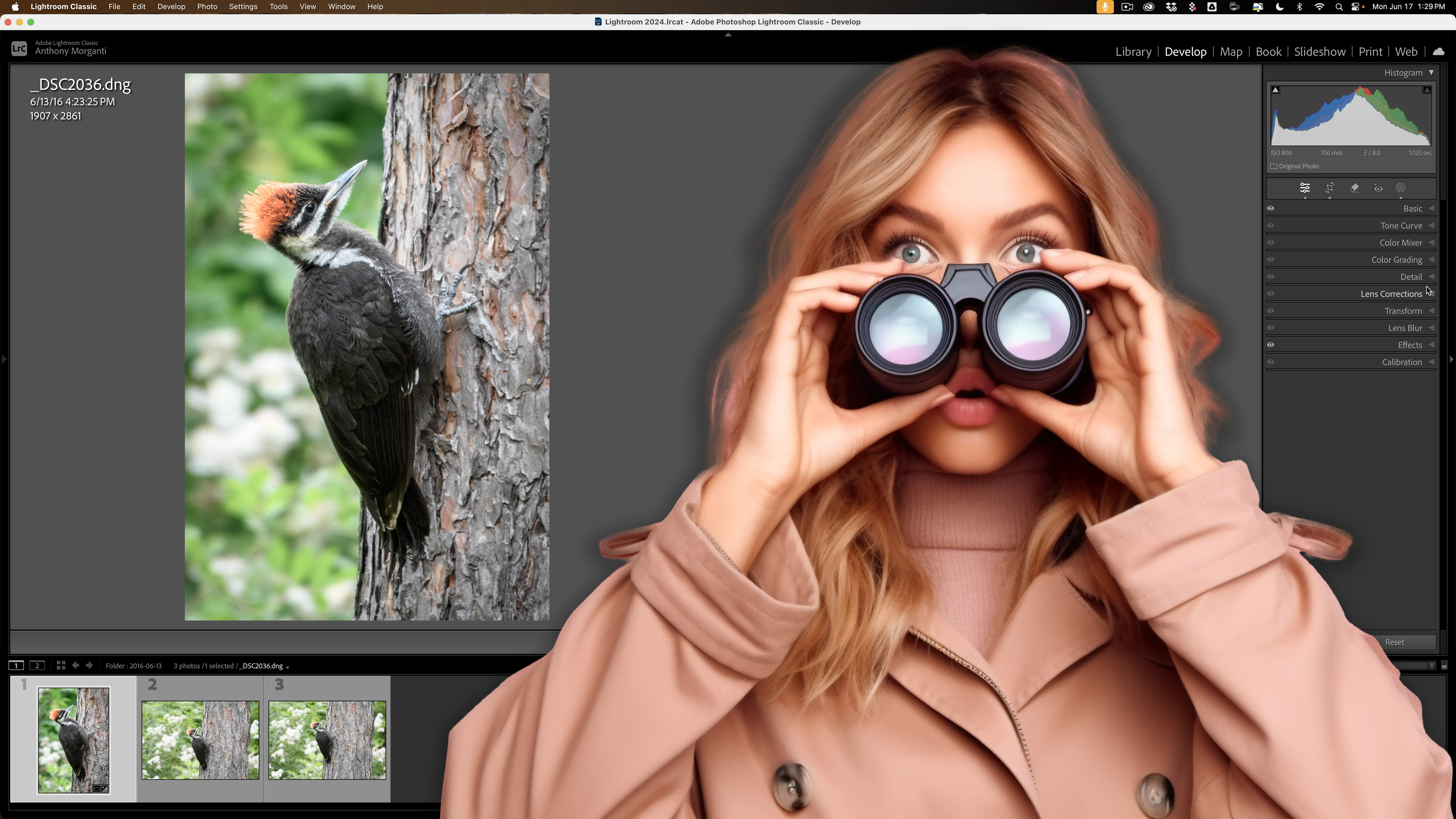 My Lightroom Wildlife Workflow