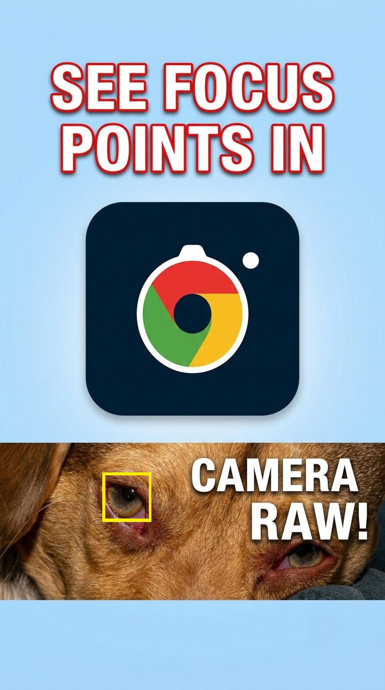 Secret Focus Point Feature in Adobe Camera Raw