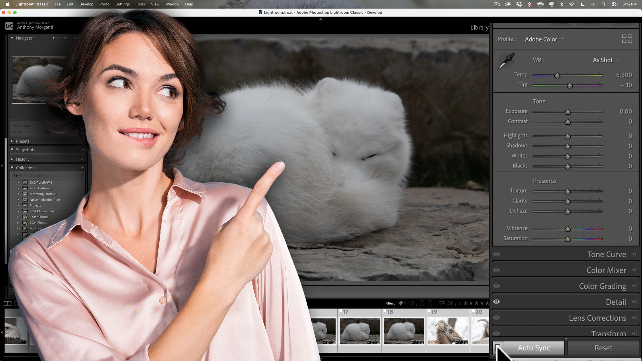 How to Properly Bulk Denoise in Lightroom
